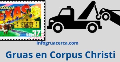 Gruas en Corpus Christi