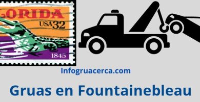 Gruas en Fountainebleau