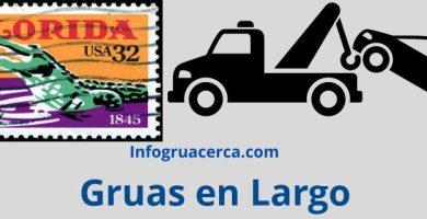Gruas en Largo