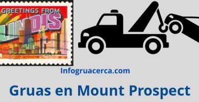 Gruas en Mount Prospect