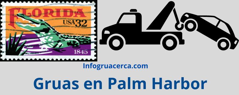 Gruas en Palm Harbor