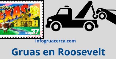 Gruas en Roosevelt