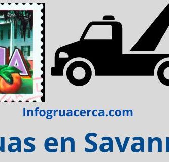 Gruas en Savannah
