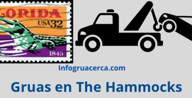 Gruas en The Hammocks