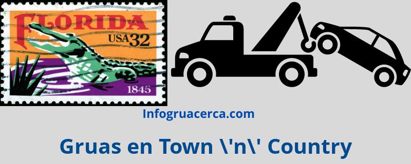 Gruas en Town 'n' Country